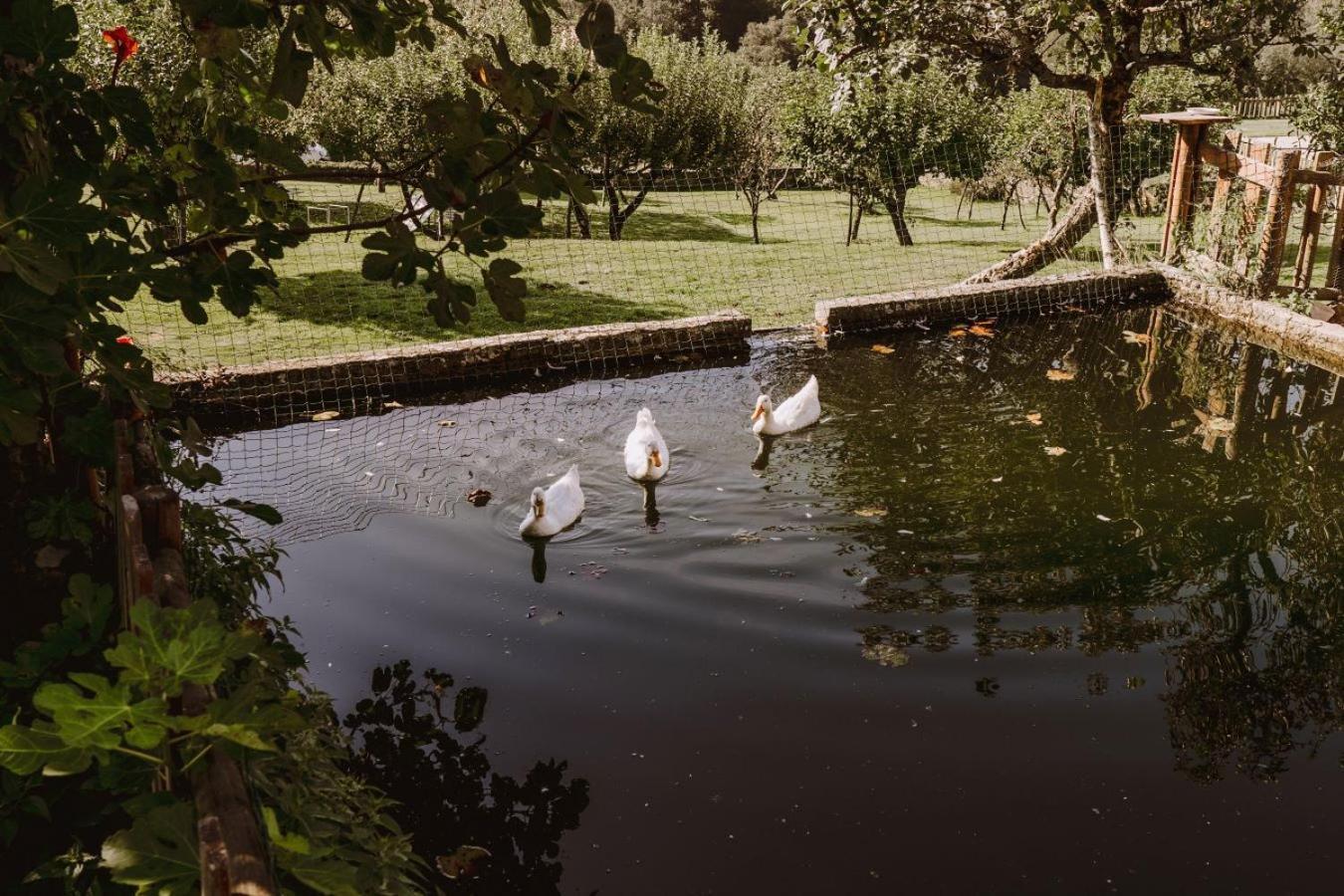 Pazo De Bendoiro Hotel ภายนอก รูปภาพ
